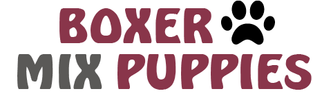 Boxer Mix Puppies